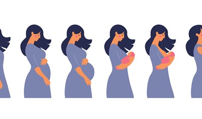 datos-breves-sobre-el-embarazo image