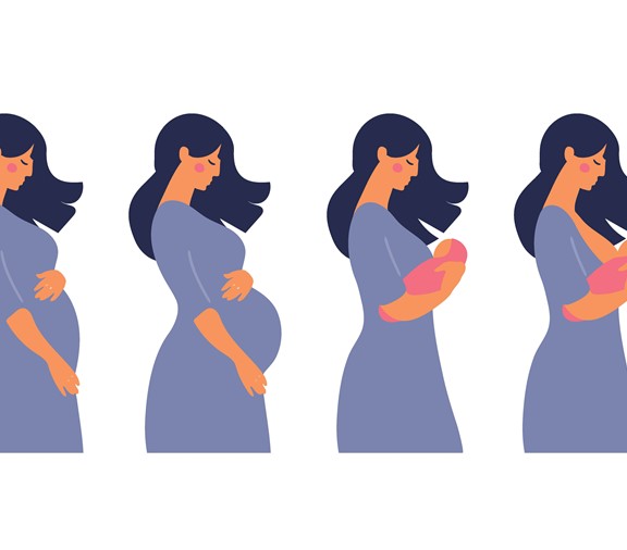 Datos breves sobre el embarazo Post Header Image